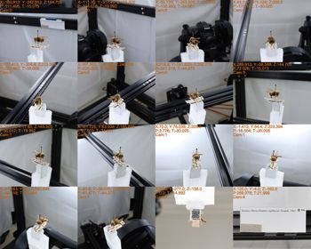 Media type: image;   Entomology 801848 Aspect: Lighting Bug Composite Image